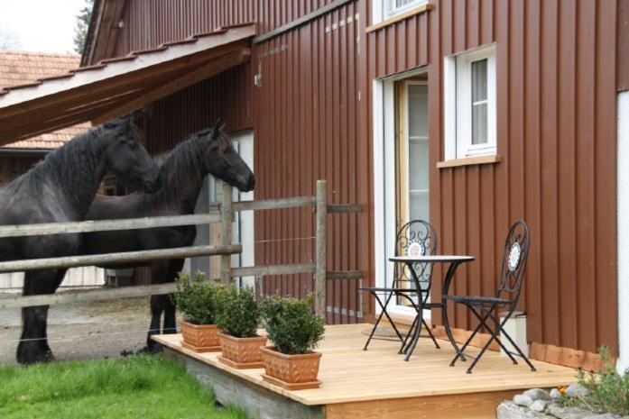 Bnb Haag Exteriér fotografie